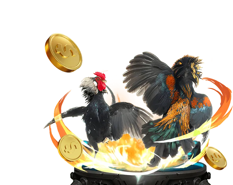 Các loại kèo cược đá gà tại vf555 c0m